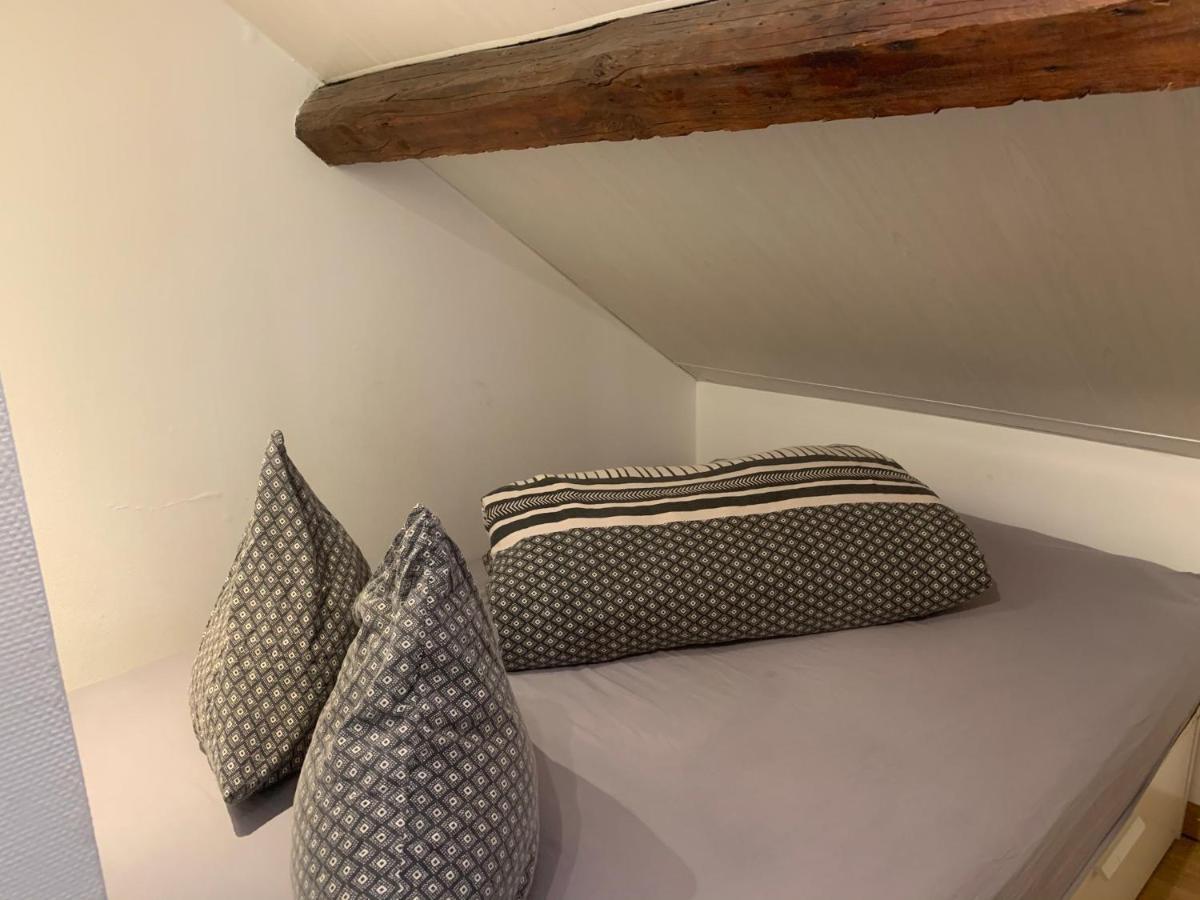 第戎Le Duplex Cosy - Gare & Cite Gastronomique公寓 外观 照片